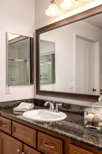 A bathroom with a sink and a mirror